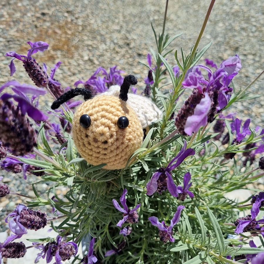 bumble bee in lavender