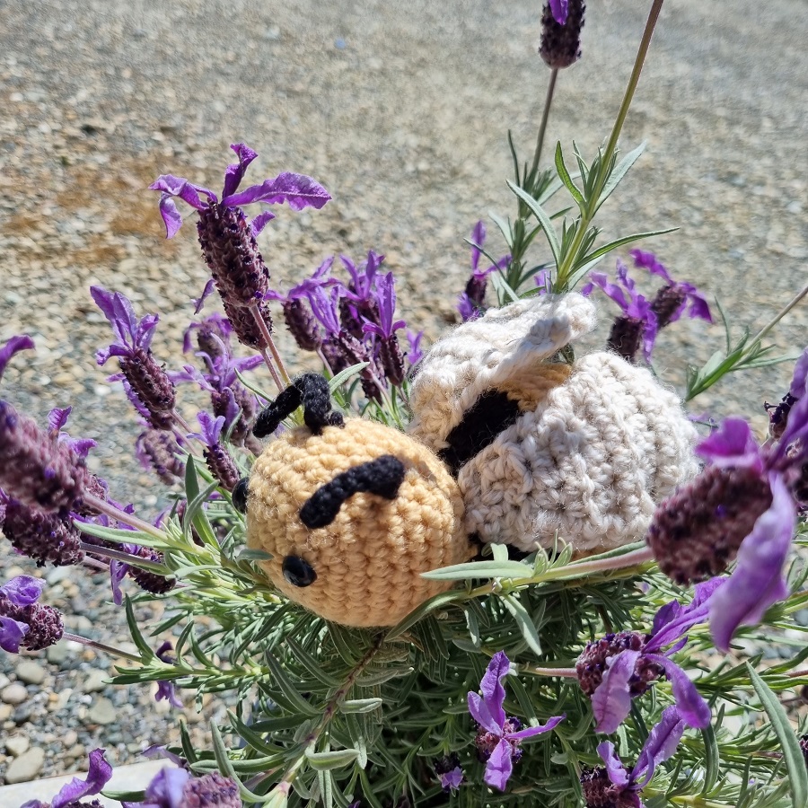 bumble bee in lavender